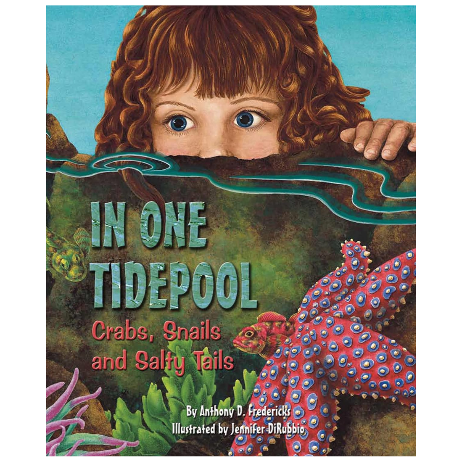 In One Tidepool: Crabs, Snails, and Salty Tails