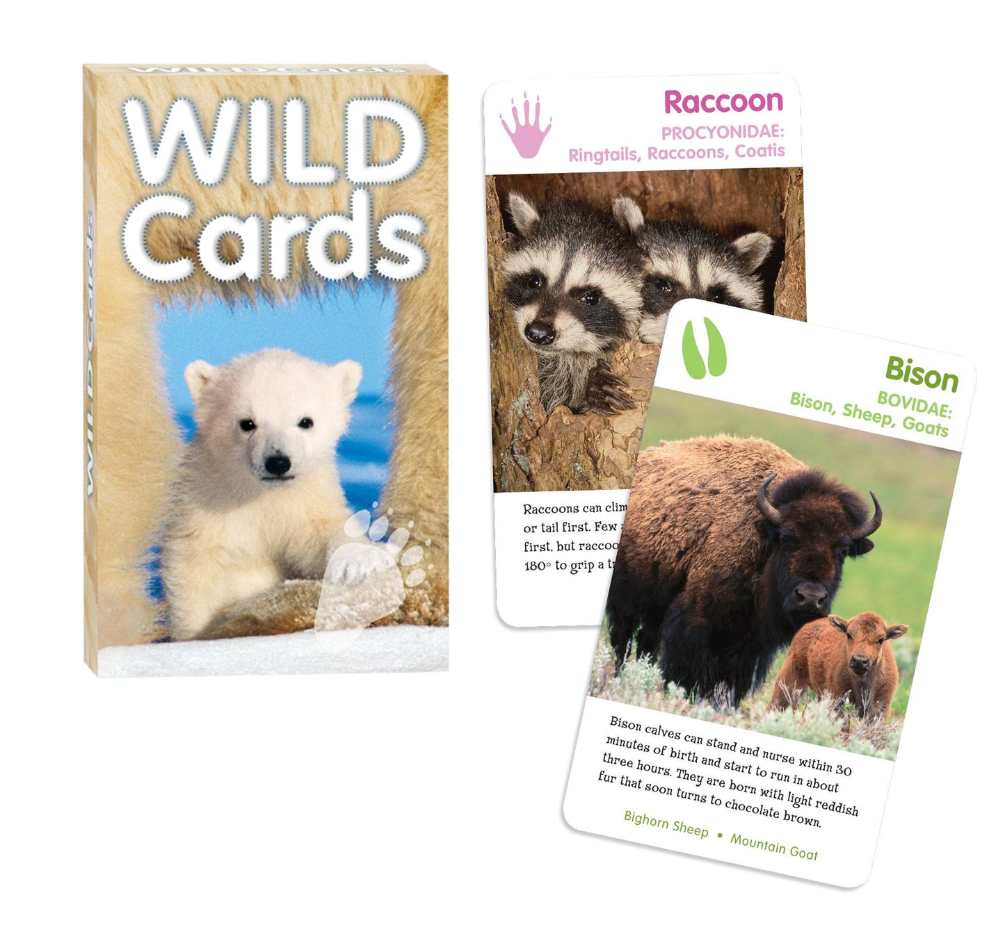 Wild Cards: Mammals of North America by Birdcage Press