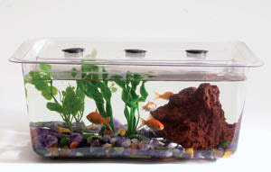 Think Tank: 1-1/2 Gallon Aquaria/Terraria, Plastic Tank and Cover