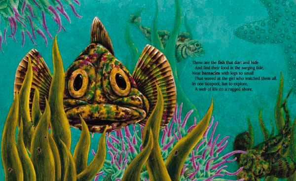 In One Tidepool: Crabs, Snails, and Salty Tails