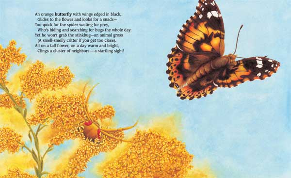 On One Flower: Butterflies, Ticks, and a Few More Icks