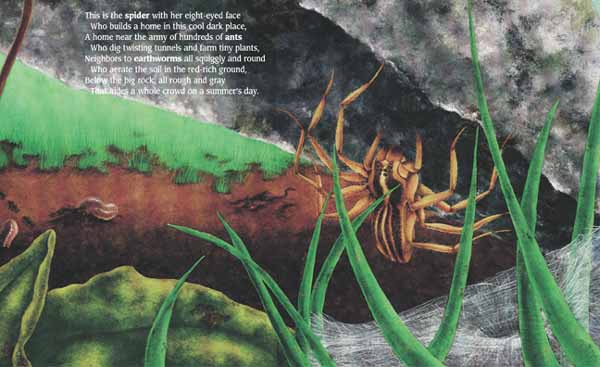 Under One Rock: Bugs, Slugs, and Other Ughs