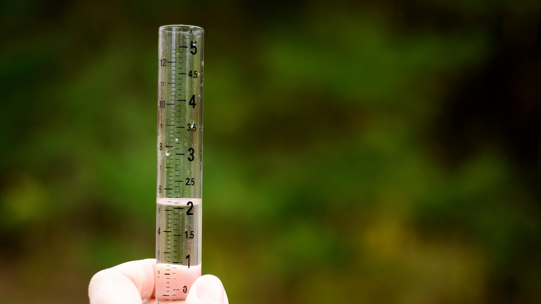 Make a Rain Gauge with Your Kids