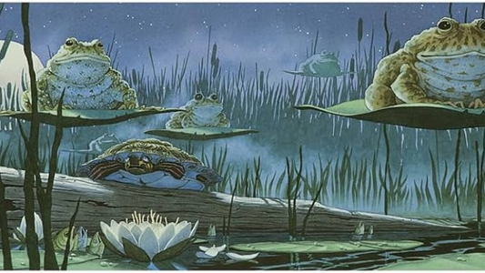 Wordless Picture Books - and The Book That Got Us Hooked on David Wiesner