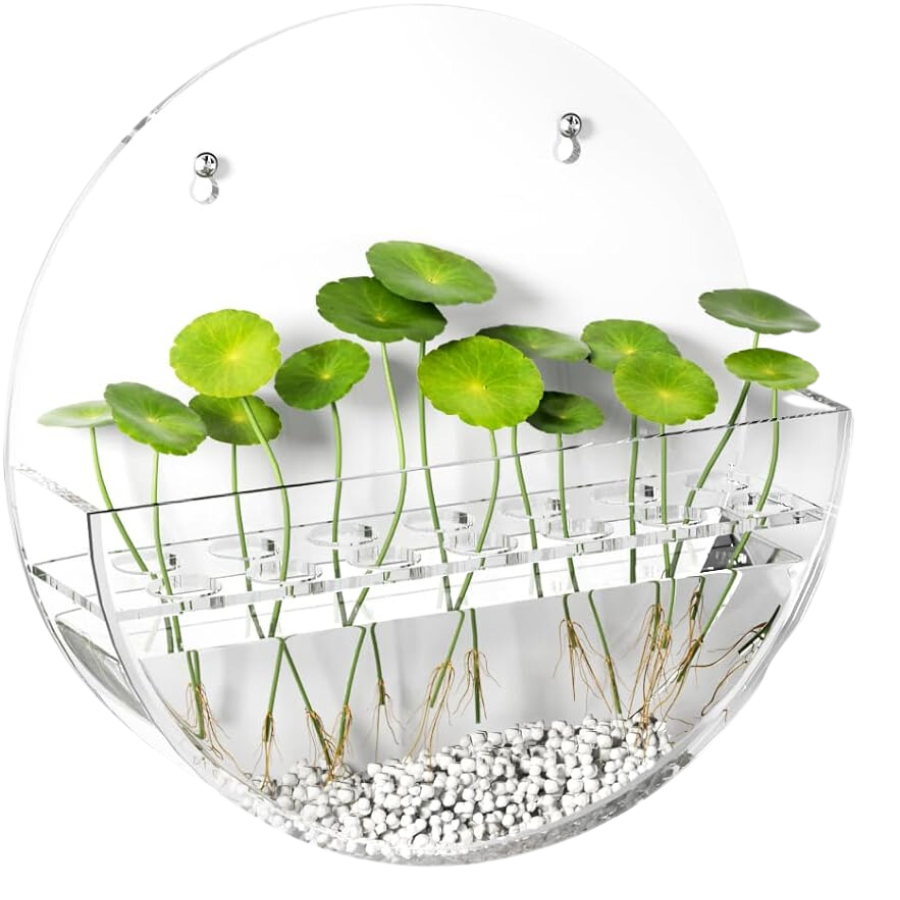 Circle Wall Planter in Clear Acrylic (NEW)