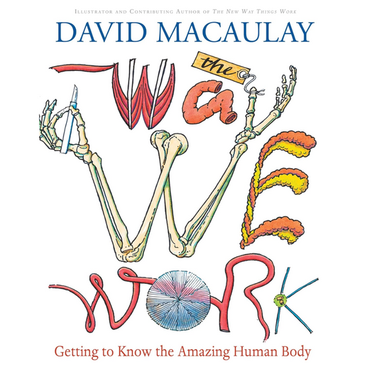 The Way We Work by David Macaulay