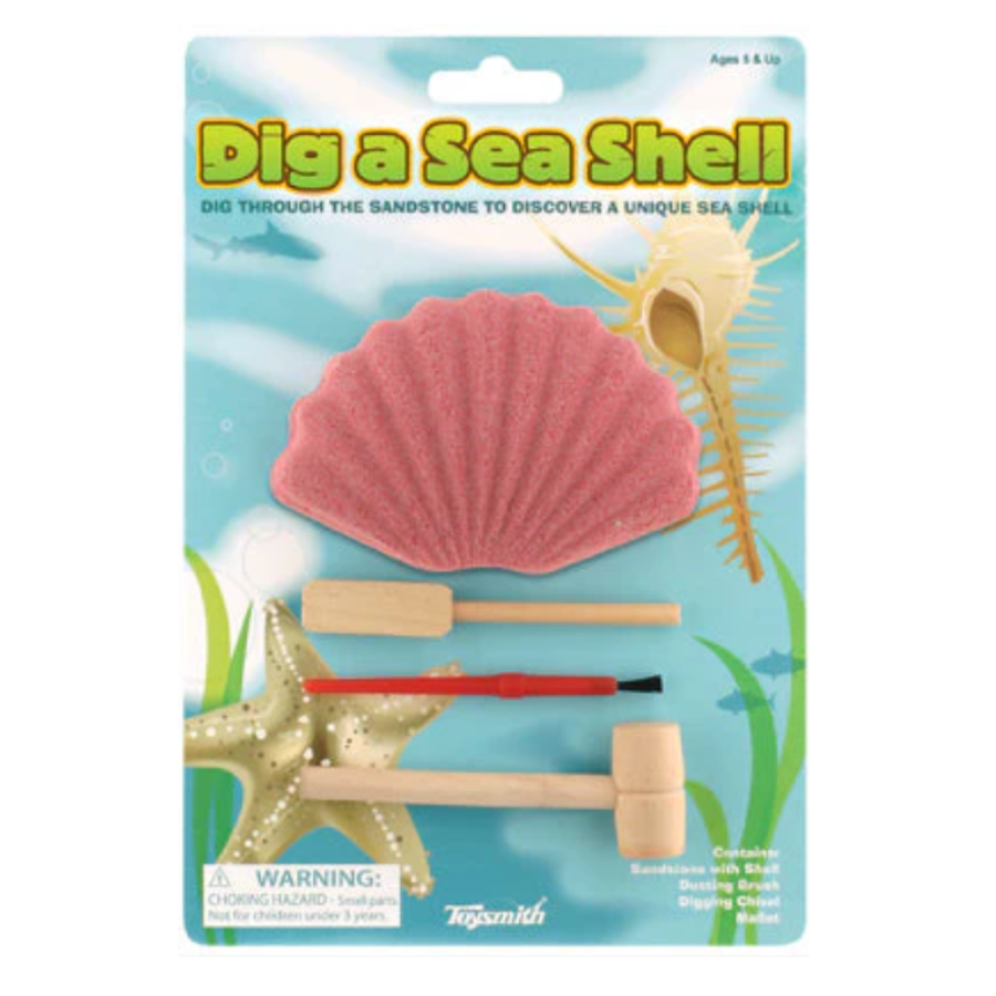 Dig a Sea Shell Activity Kit