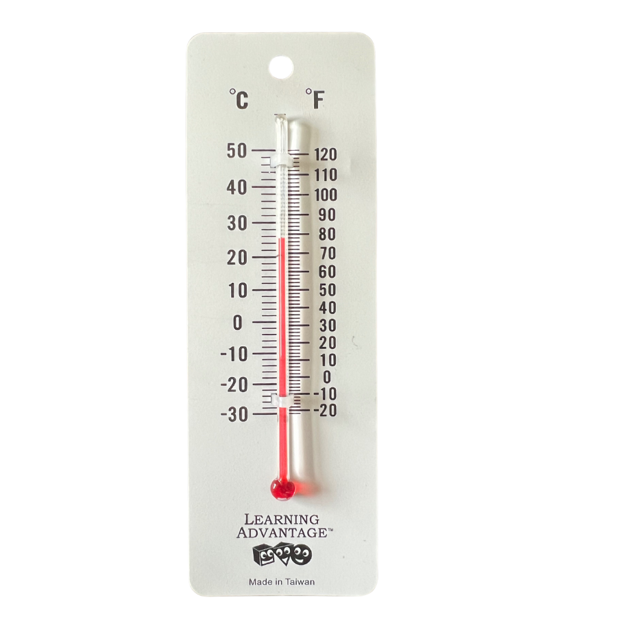 Dual Scale Student Thermometer for Kids