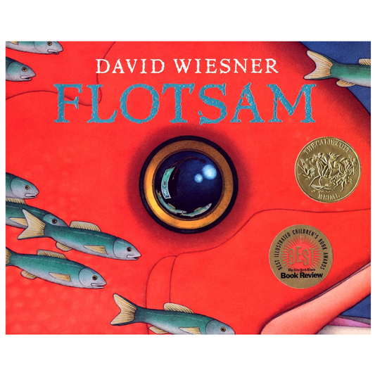 Flotsom by David Wiesner