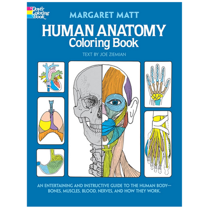 Human Anatomy Coloring Book