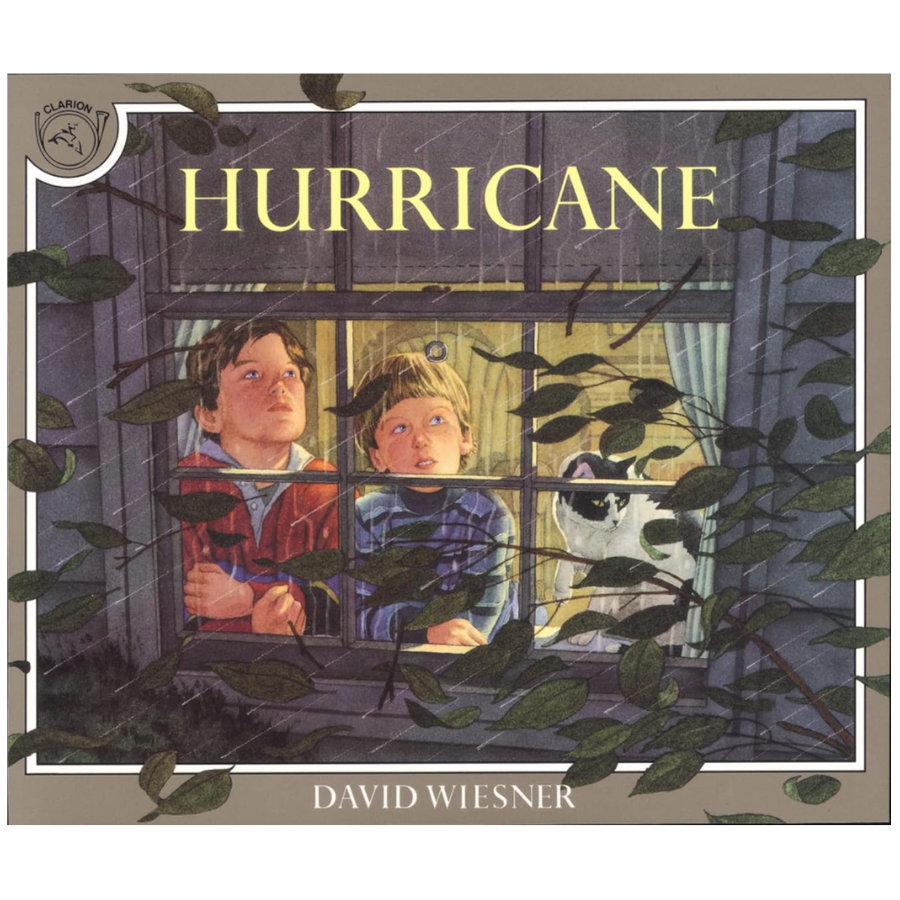 Hurricane by David Wiesner