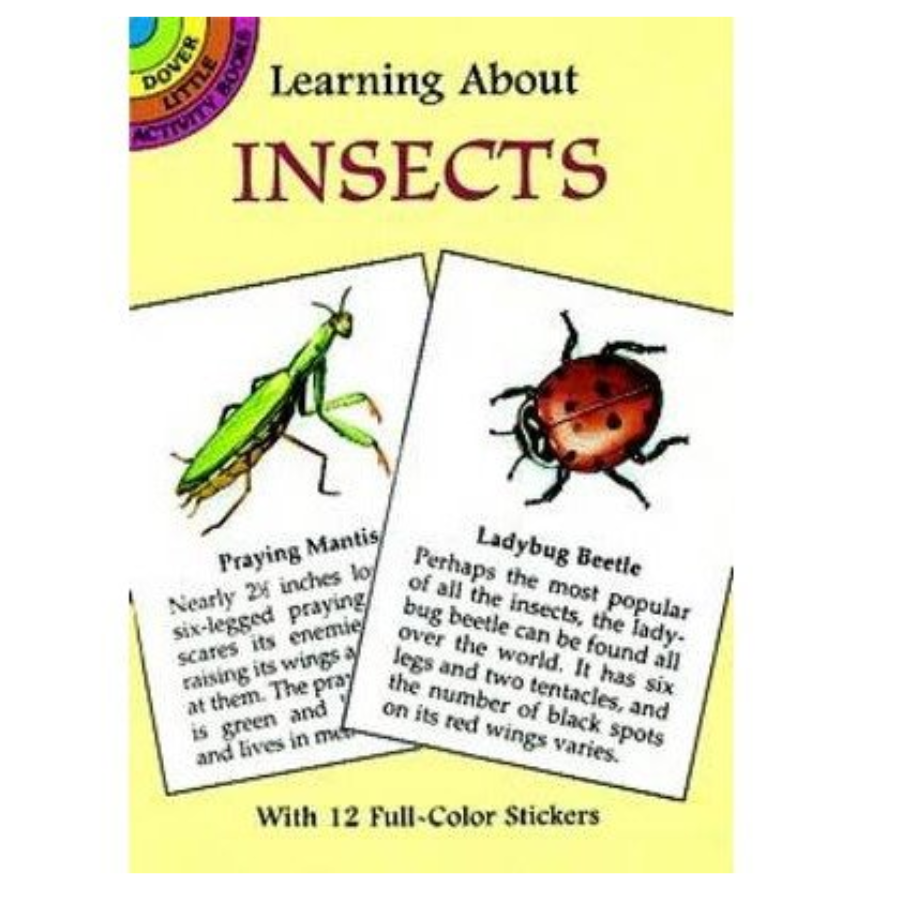 Learning About Insects (with Stickers)