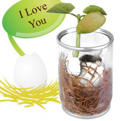 I Love You Magic Message Egg - Grow a Message Bean