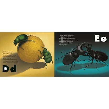 The Beetle Alphabet Book