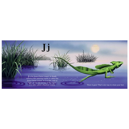 The Freshwater Alphabet Book