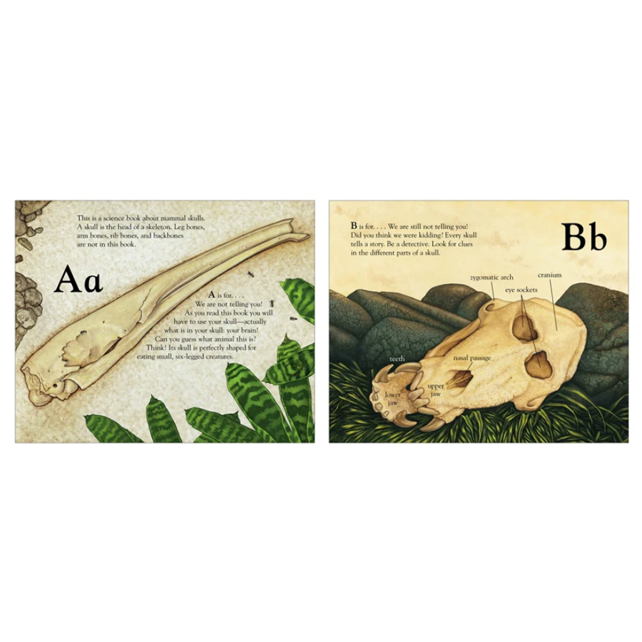 The Skull Alphabet Book