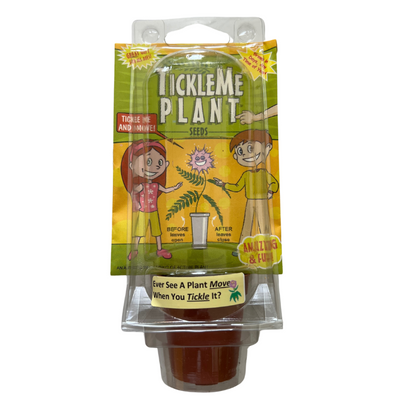 TickleMe Plant Mini Greenhouse Party Favor, Grow Your Own Plant