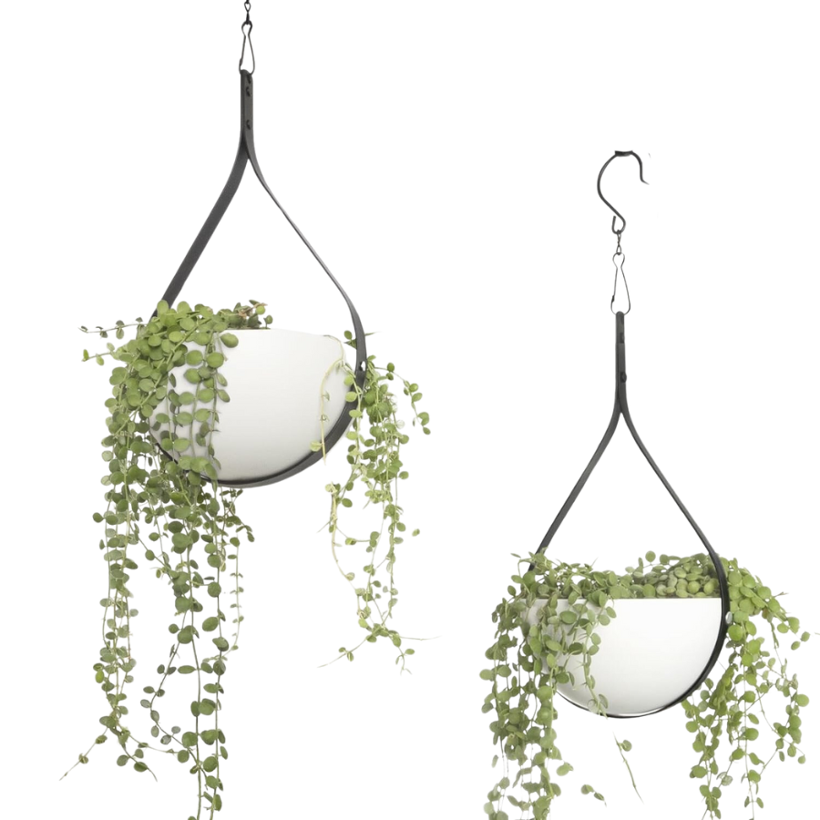 Metal Plant Hangers in Black and White for Indoors/Outdoors, Set of 2 (NEW)