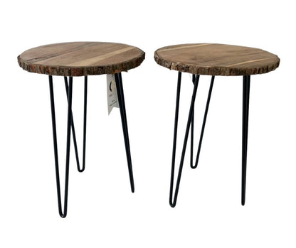 Wood Slab Plant Table with Black Hairpin Legs (NEW)