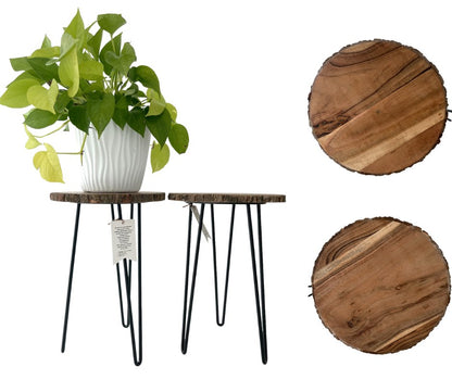 Wood Slab Plant Table with Black Hairpin Legs (NEW)