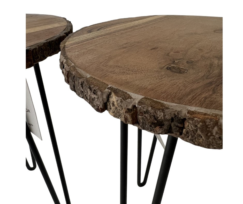 Wood Slab Plant Table with Black Hairpin Legs (NEW)