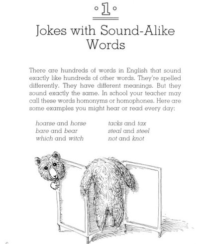 Funny You Should Ask:  How to Make Up Jokes and Riddles with Wordplay