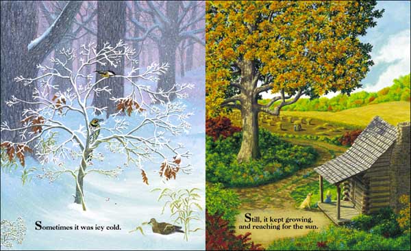 In a Nutshell - A Life Cycle Nature Book for Kids About Change and Growth