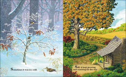 In a Nutshell - A Life Cycle Nature Book for Kids About Change and Growth