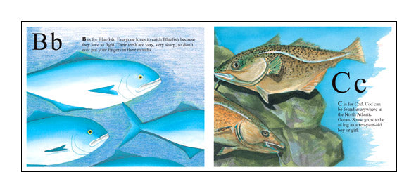 The Ocean Alphabet Book