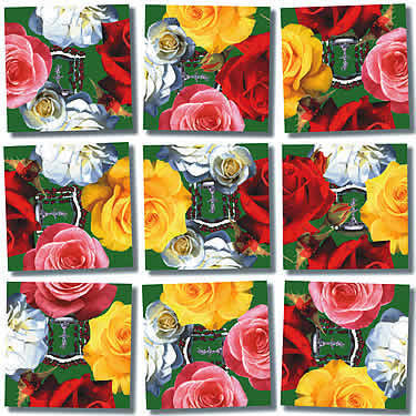 Scramble Squares, Roses