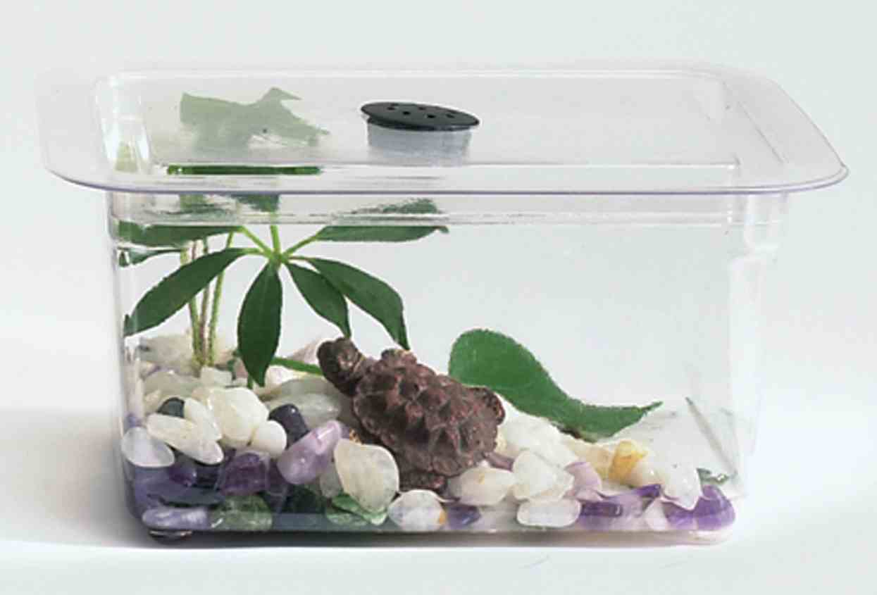 Think Tank: 1/2 Gallon Aquaria/Terraria, Plastic Tank and Cover