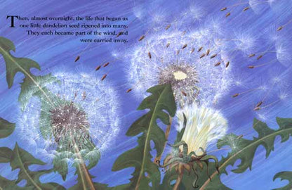 The Dandelion Seed - A Life Cycle Nature Book for Kids