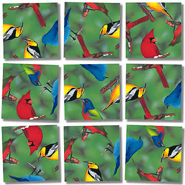 Scramble Squares - North American Birds