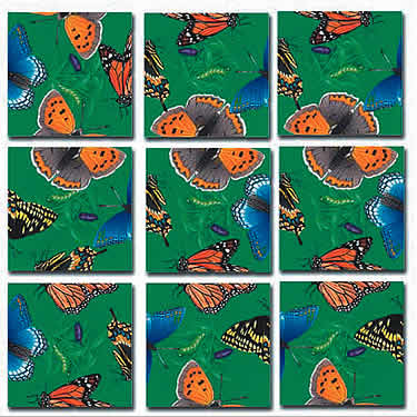 Scramble Squares, Butterflies