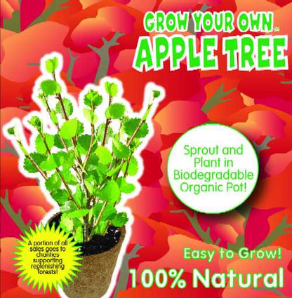 Grow Your Own Apple Tree Kit by DuneCraft