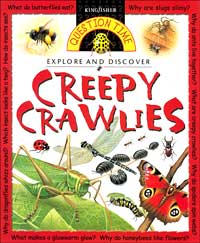 Creepy Crawlies (Kingfisher Question Time Series)