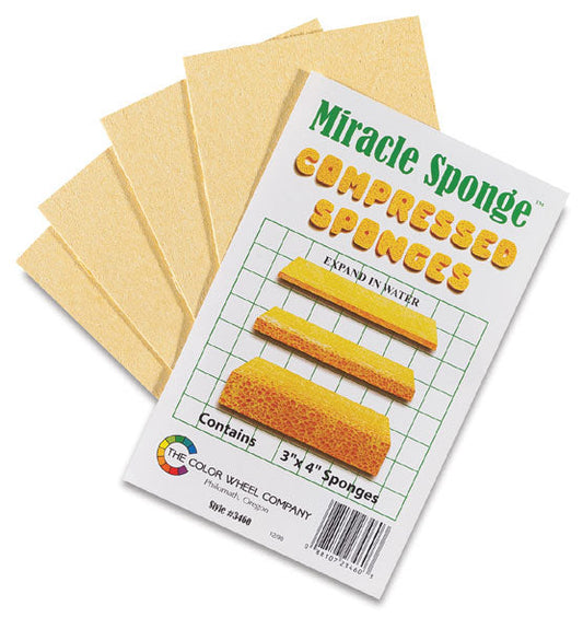 Miracle Sponge, Compressed Sponge (3 x 4 inches)