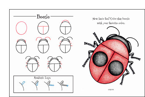 Ralph Masiello's Bug Drawing Book