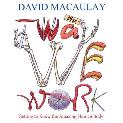 The Way We Work by David Macaulay