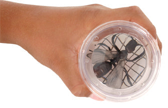 Backyard Exploration Magnifying Bug Viewer