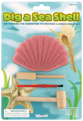 Dig a Sea Shell Activity Kit