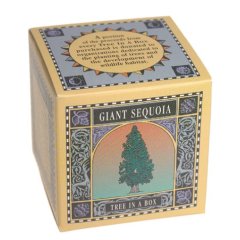 Tree in a Box, Giant Sequoia, Grow Your Own Tree